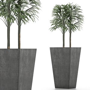 3D single plant 08