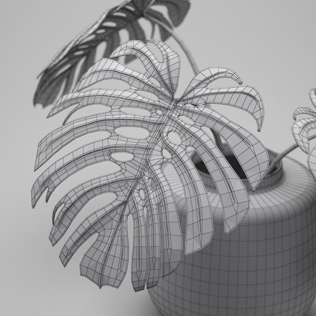 monstera plant 3d model https://p.turbosquid.com/ts-thumb/EY/4tMMg2/9MUTi7fj/monstera_wire_render_4/jpg/1460876077/1920x1080/fit_q87/fe372cb50c56aaf73d33beb18be84308cc1fada7/monstera_wire_render_4.jpg