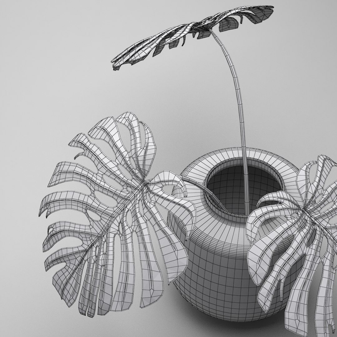 monstera plant 3d model https://p.turbosquid.com/ts-thumb/EY/4tMMg2/DtUQ5Wh1/monstera_wire_render_5/jpg/1460876077/1920x1080/fit_q87/5a93d09f18084bc3c69c4eaa81b92faa16309128/monstera_wire_render_5.jpg
