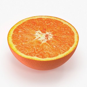 3d model tangerine cross section