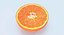 Tangerine Cross Section