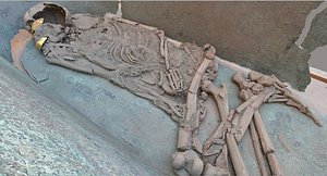 ANCIENT HUMAN SKELETON 3D model