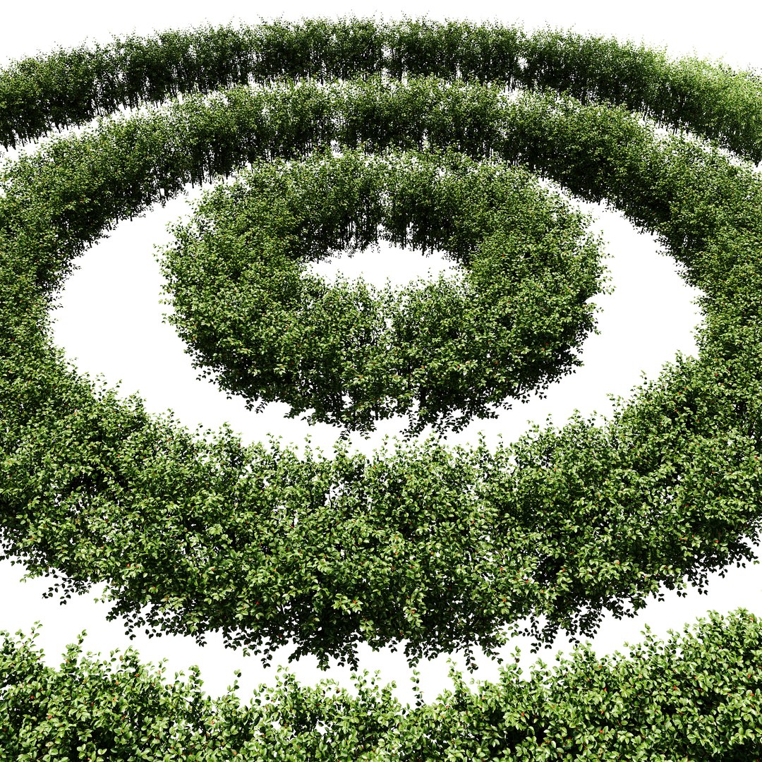 3D Hedge Cotoneaster model https://p.turbosquid.com/ts-thumb/EY/9N370U/HY/hedgecotoneaster07/jpg/1755332112/1920x1080/fit_q87/a32a7738fe1b7ed0d6d65c8ce58cabaed1a81fd5/hedgecotoneaster07.jpg