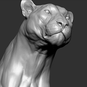 pantera onca vfx zbrush model