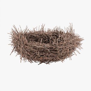 Nest