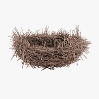 Nest