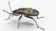 Pyrrhocoris Apterus Bug Yellow Black Rigged 3D model