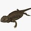 3D model Bearded Dragon Lizard