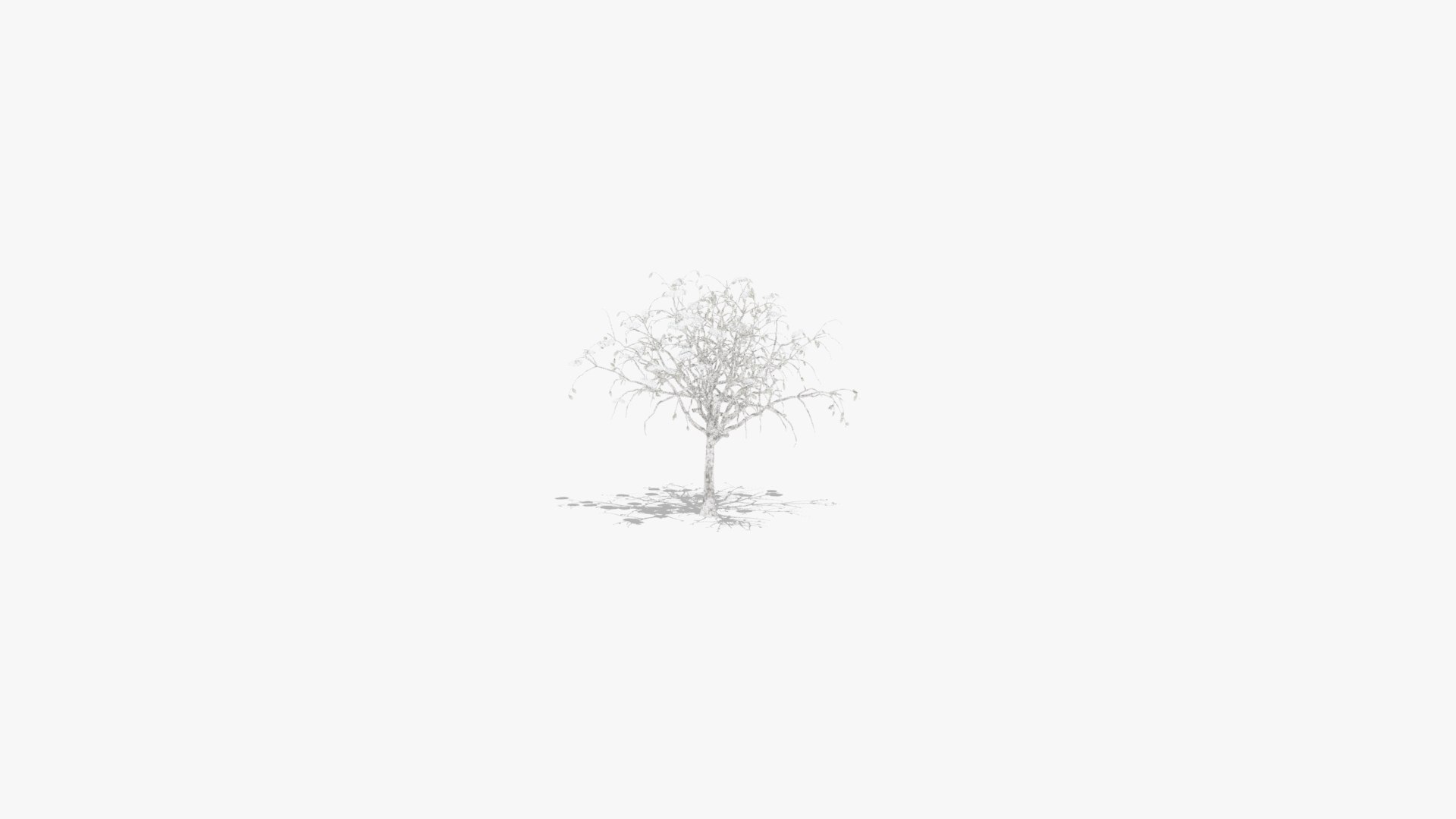 3D citrus winter hight model https://p.turbosquid.com/ts-thumb/EY/VryaSX/2ReZeCPB/5/jpg/1601548846/1920x1080/fit_q87/3a6cefb986acb6c10f123477391d1253a5b6a281/5.jpg