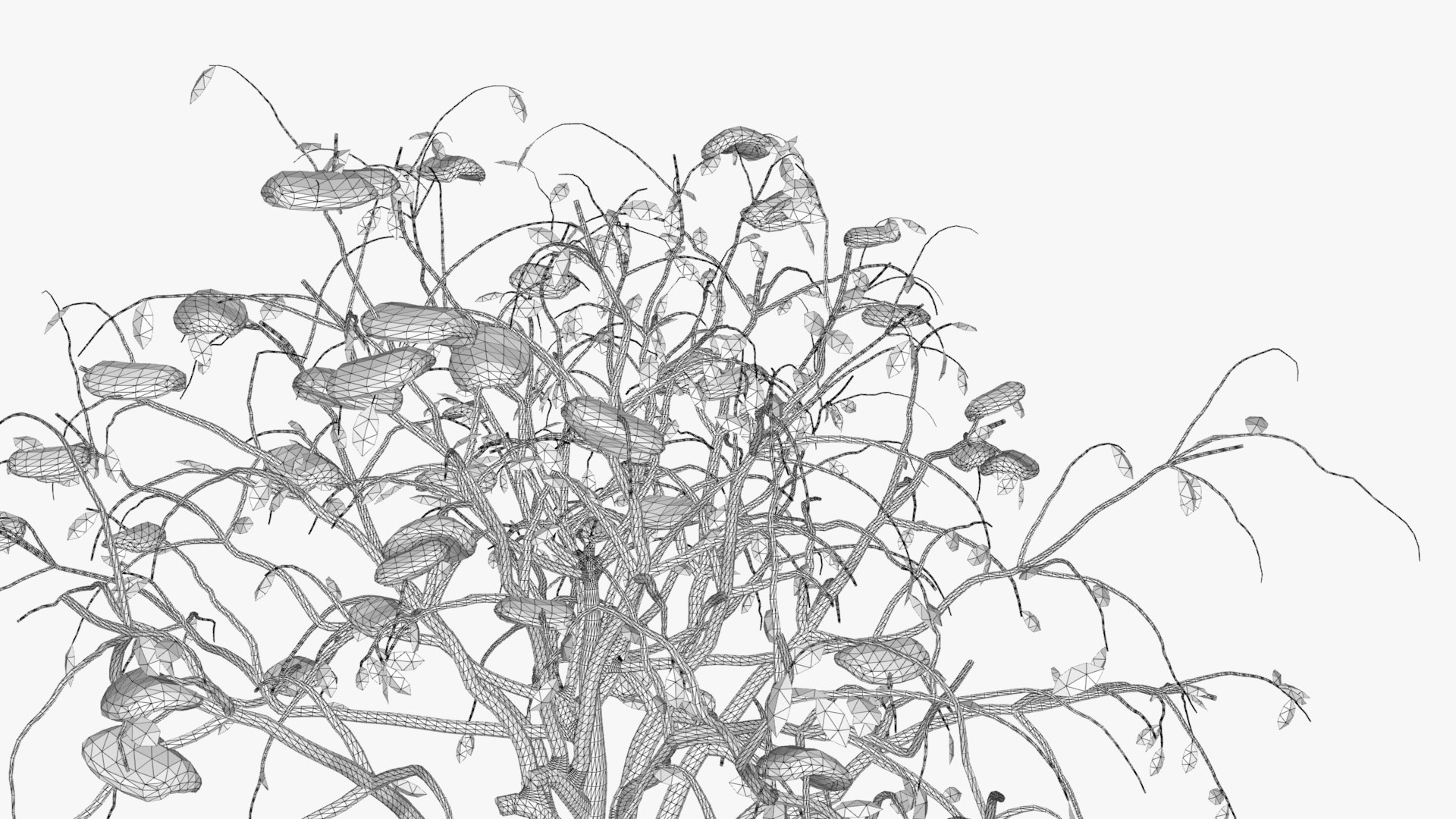 3D citrus winter hight model https://p.turbosquid.com/ts-thumb/EY/VryaSX/EvgBwSx7/w1/jpg/1601548849/1920x1080/fit_q87/0c4008ccac79bbde5d8dfbdc931b08879dd9f876/w1.jpg