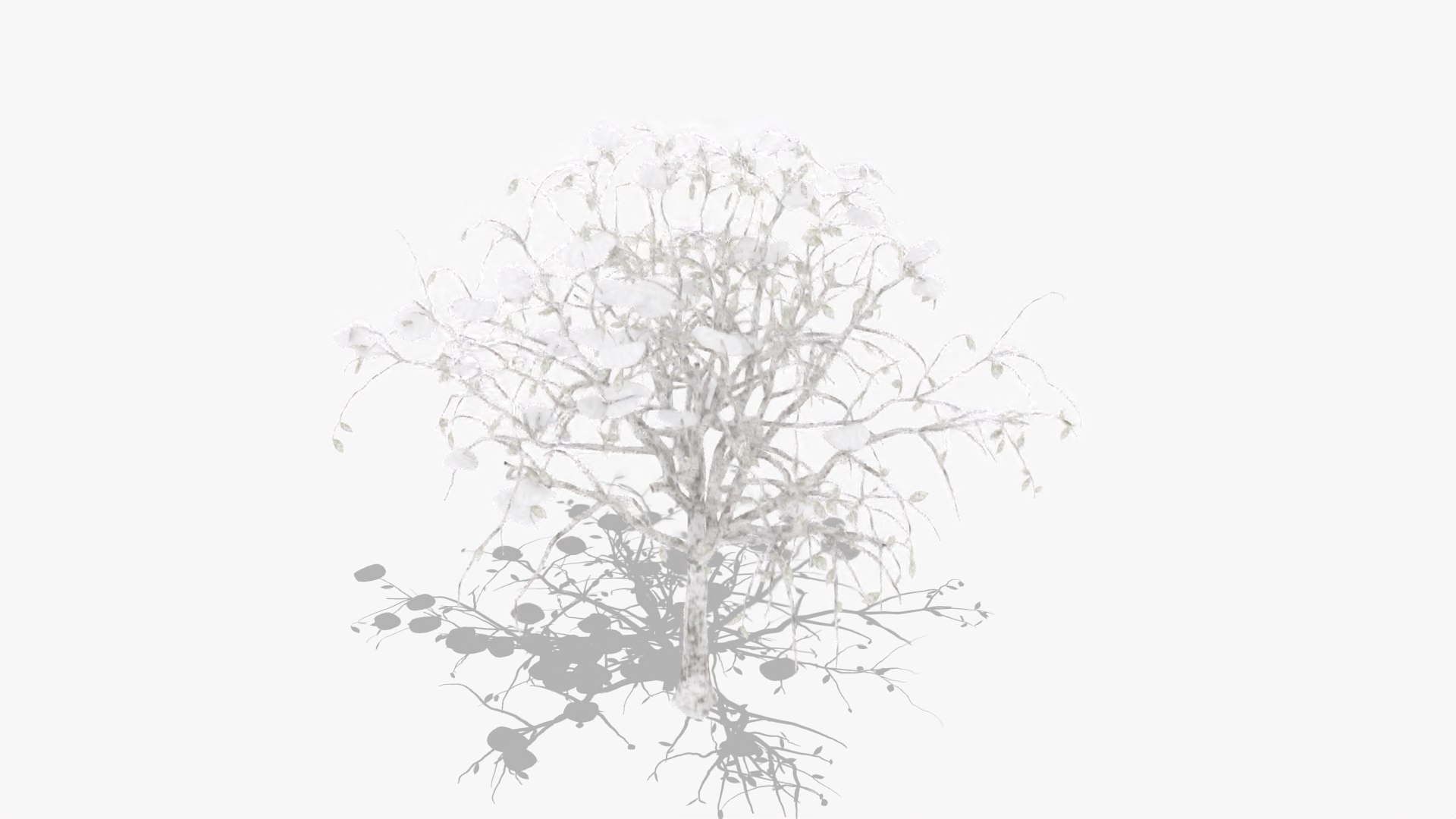 3D citrus winter hight model https://p.turbosquid.com/ts-thumb/EY/VryaSX/Hahnhu6V/2/jpg/1601548839/1920x1080/fit_q87/faeddcfdb83f756e6da1ef20831bfdb3f66f13b6/2.jpg
