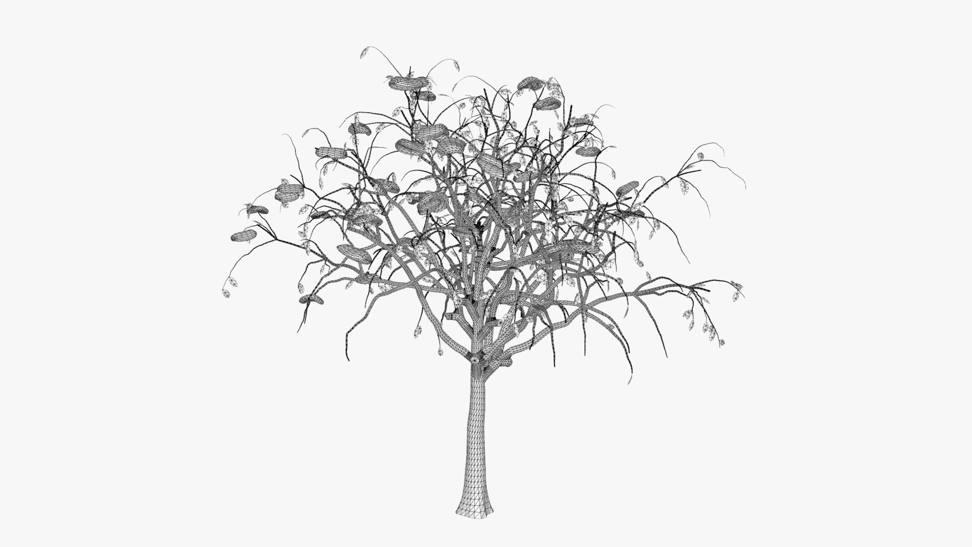3D citrus winter hight model https://p.turbosquid.com/ts-thumb/EY/VryaSX/gh4ulWfz/w3/jpg/1601548850/1920x1080/fit_q87/04a7f189bfd543f6283b57cb71e6aae0757ba2f8/w3.jpg