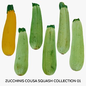 Zucchinis Cousa Squash Collection 01 - 6 models RAW Scans 3D model