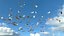 空飛ぶドル札