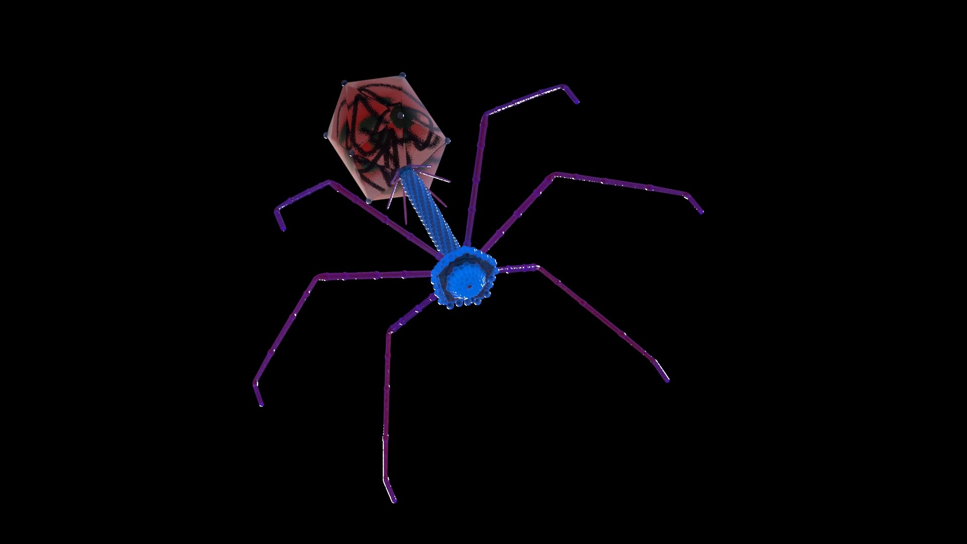 Bacteriophage T4 3D model https://p.turbosquid.com/ts-thumb/EZ/59yvUR/xh/phage06/jpg/1625155519/1920x1080/fit_q87/5d6b1ce7f622aadb228b7244696f461a56117a4e/phage06.jpg