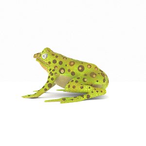 3D green blind frog