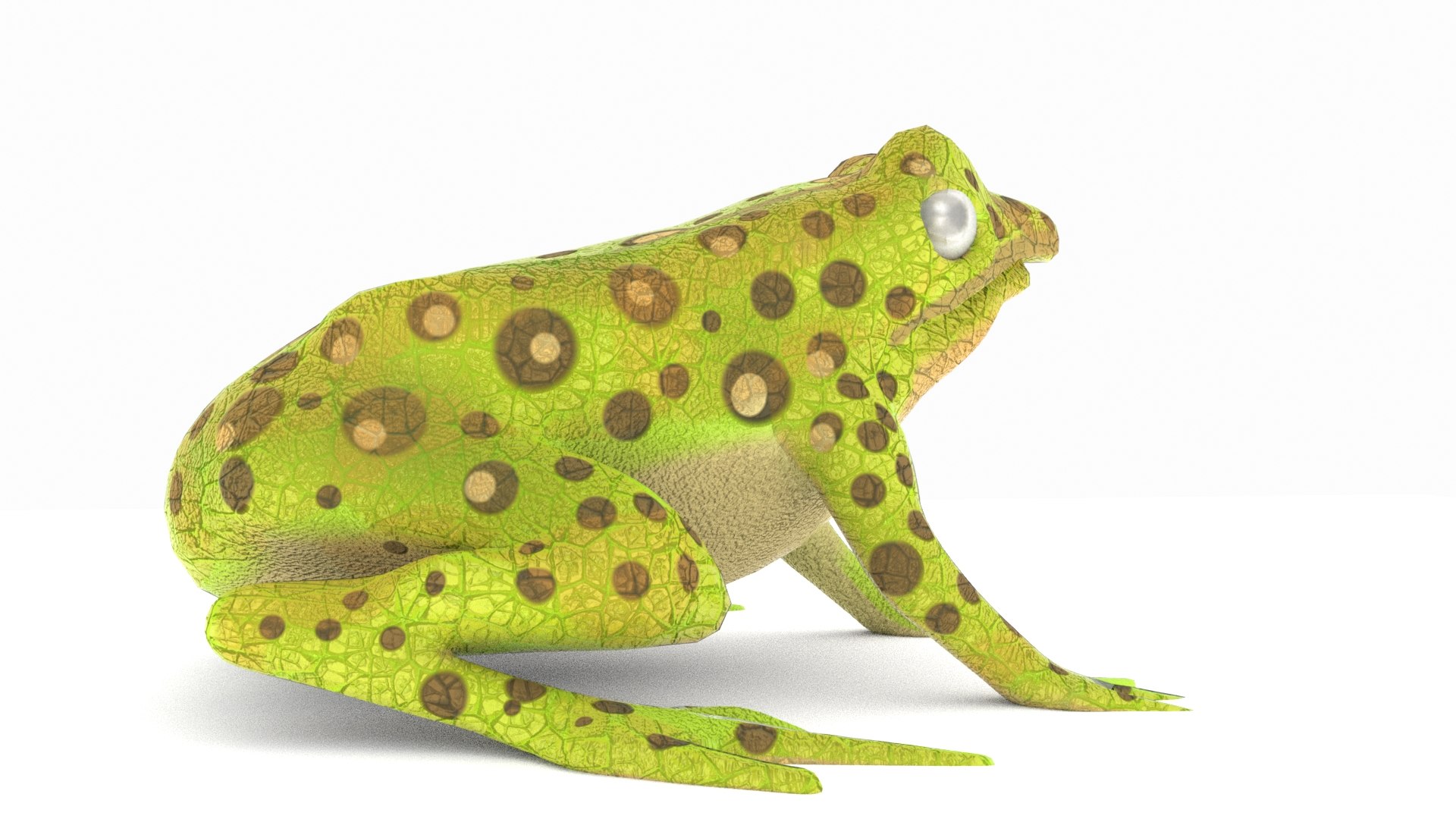 3D Green Blind Frog TurboSquid 1839759