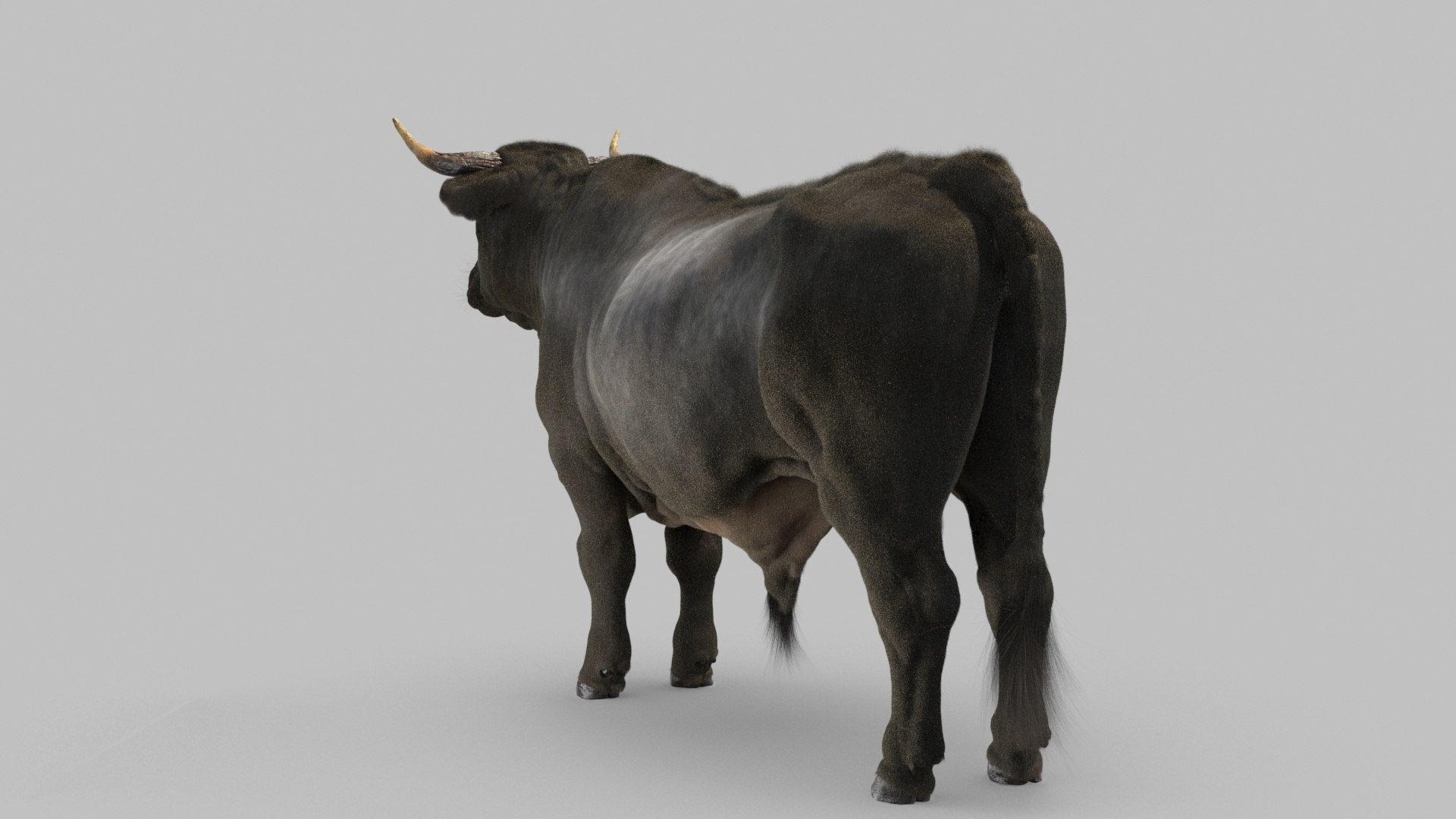 bull 3D model https://p.turbosquid.com/ts-thumb/EZ/8zbWa1/Ys/bull_0020/jpg/1616089584/1920x1080/fit_q87/19af70f3f3c4e4e49dcc8aa157abd2ee81511e45/bull_0020.jpg