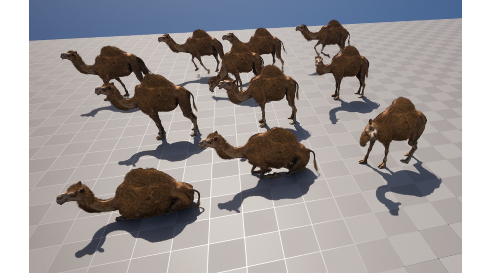3D Hyper Realistic Animated Camel with Fur Rigged and Game Ready Low-poly 3D model model https://p.turbosquid.com/ts-thumb/EZ/GYM7wL/4d/11/png/1775858458/1920x1080/fit_q87/d570d2687dd8ee41318e0be1301339d27f86d66a/11.jpg