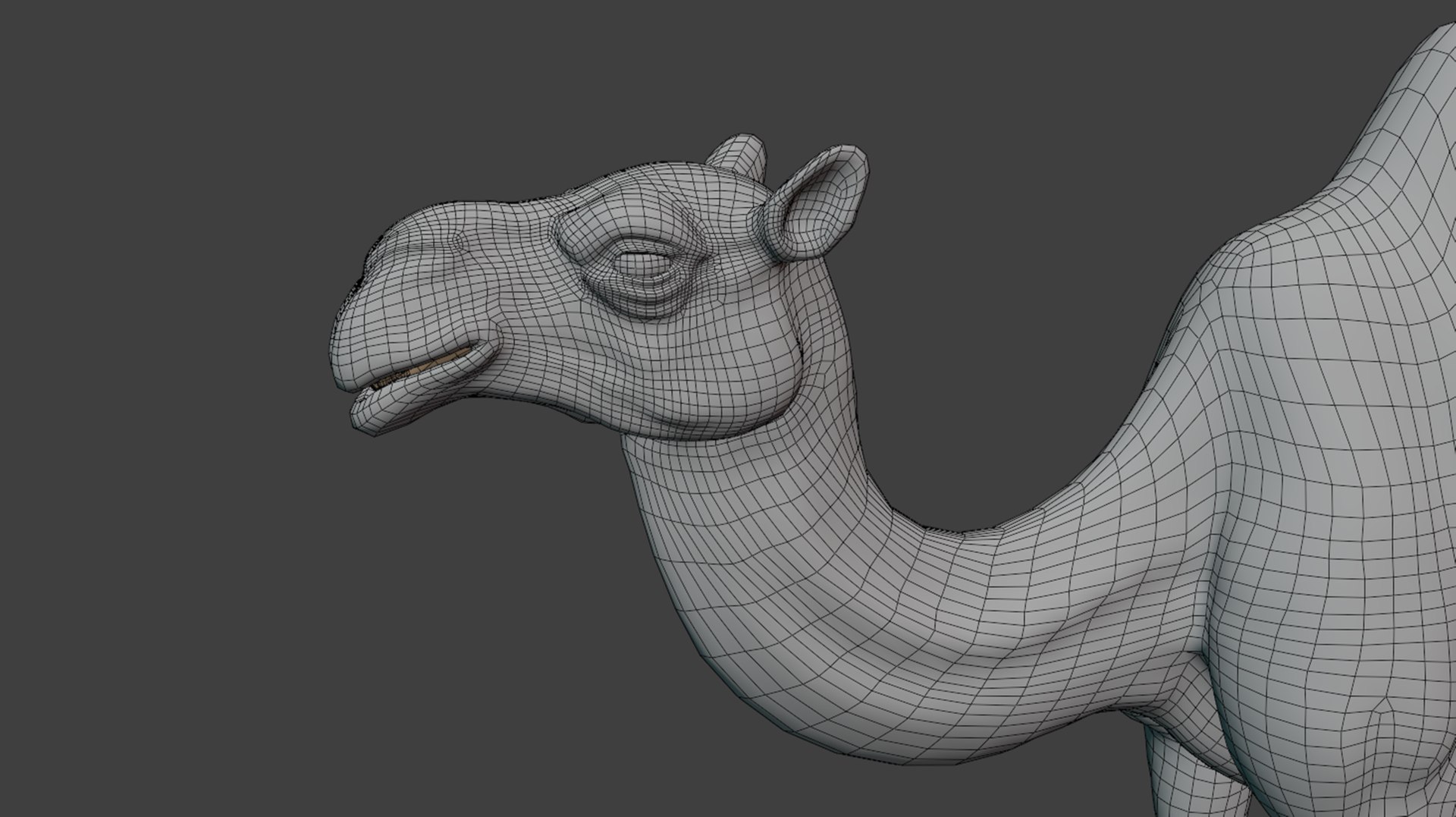 3D Hyper Realistic Animated Camel with Fur Rigged and Game Ready Low-poly 3D model model https://p.turbosquid.com/ts-thumb/EZ/GYM7wL/Ke/wf1/png/1774144728/1920x1080/fit_q87/8c377cee54997d9c6488547fedd9846c31cfe721/wf1.jpg