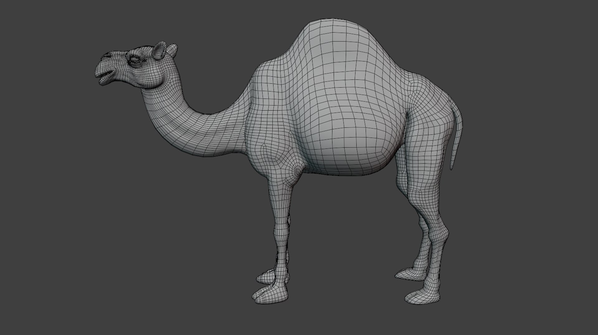 3D Hyper Realistic Animated Camel with Fur Rigged and Game Ready Low-poly 3D model model https://p.turbosquid.com/ts-thumb/EZ/GYM7wL/t7/wf/png/1774144207/1920x1080/fit_q87/f28f759d3655032f175791c3b4e5d9ee2b20cae9/wf.jpg