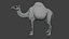 Hiperrealistyczny animowany wielbłąd z futrem, model 3D low-poly, gotowy do gry