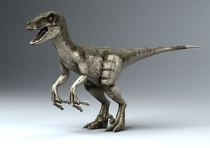 Raptor - realistic