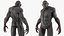 3D model Grey Monster Rigged for Modo