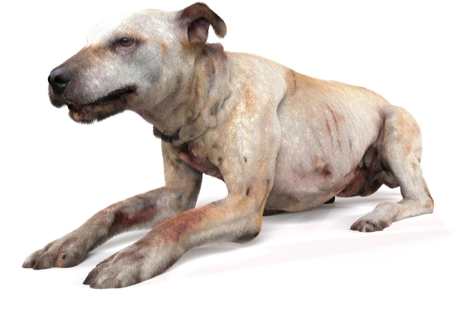 3D model Old Furious Dog Pack https://p.turbosquid.com/ts-thumb/EZ/a859eO/DN/4/jpg/1734474360/1920x1080/fit_q87/248bbd8ed1f52e3b0be4fabc2d38ddcd3566060a/4.jpg