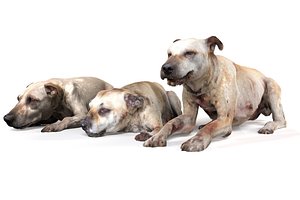 3D model Old Furious Dog Pack