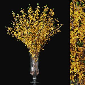 Forsythia 03