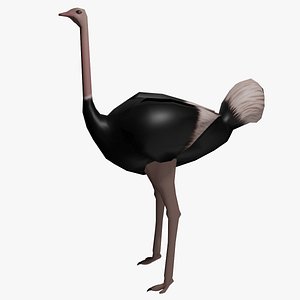 ostrich