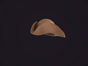 Pirate Hat 3D model