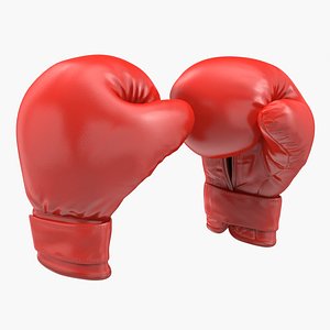 3D boxing gloves fighting pose