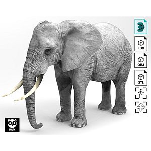 Elephant - Rigged - Animated