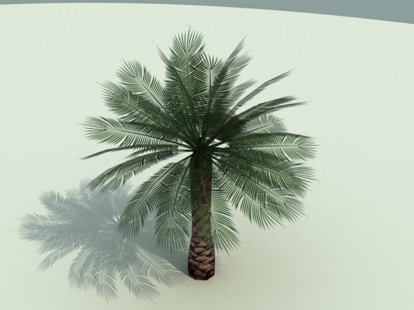 3ds Max Palm Tree