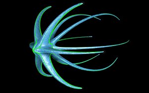alien spaceship 3D