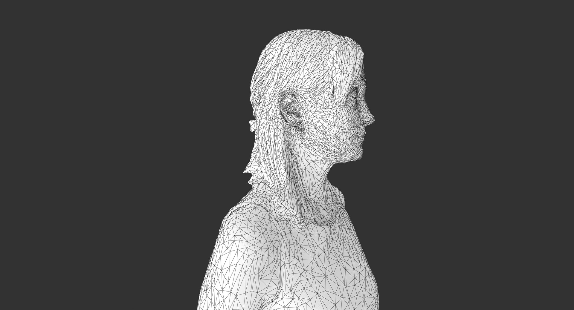 3d human body