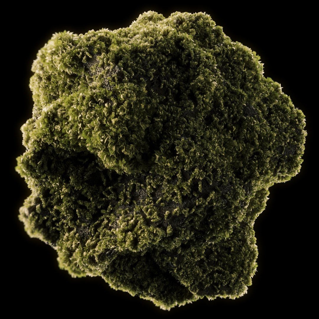 3D Moss 5 - TurboSquid 1534997