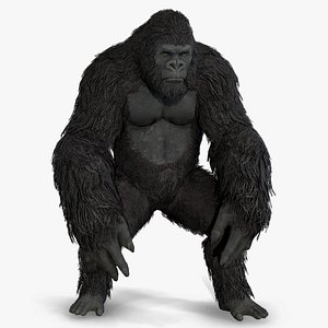 gorilla ape orangutan