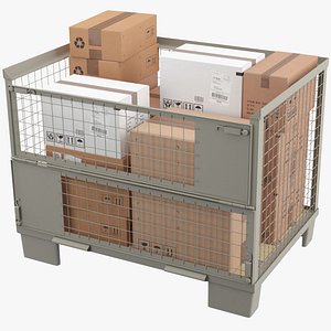Pallet Box with Packages model