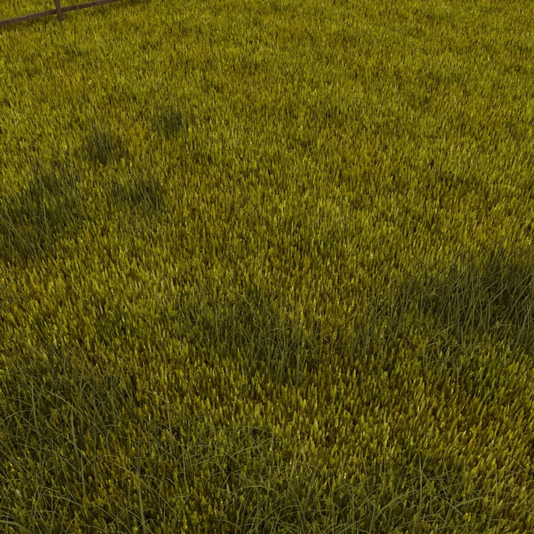 3dsmax grass field https://p.turbosquid.com/ts-thumb/Ea/bR8v9z/Opx965cy/grass06/jpg/1335182792/1920x1080/fit_q87/7366782257578e6bc3a0fc19f17cd2b195182949/grass06.jpg