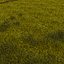 3dsmax grass field