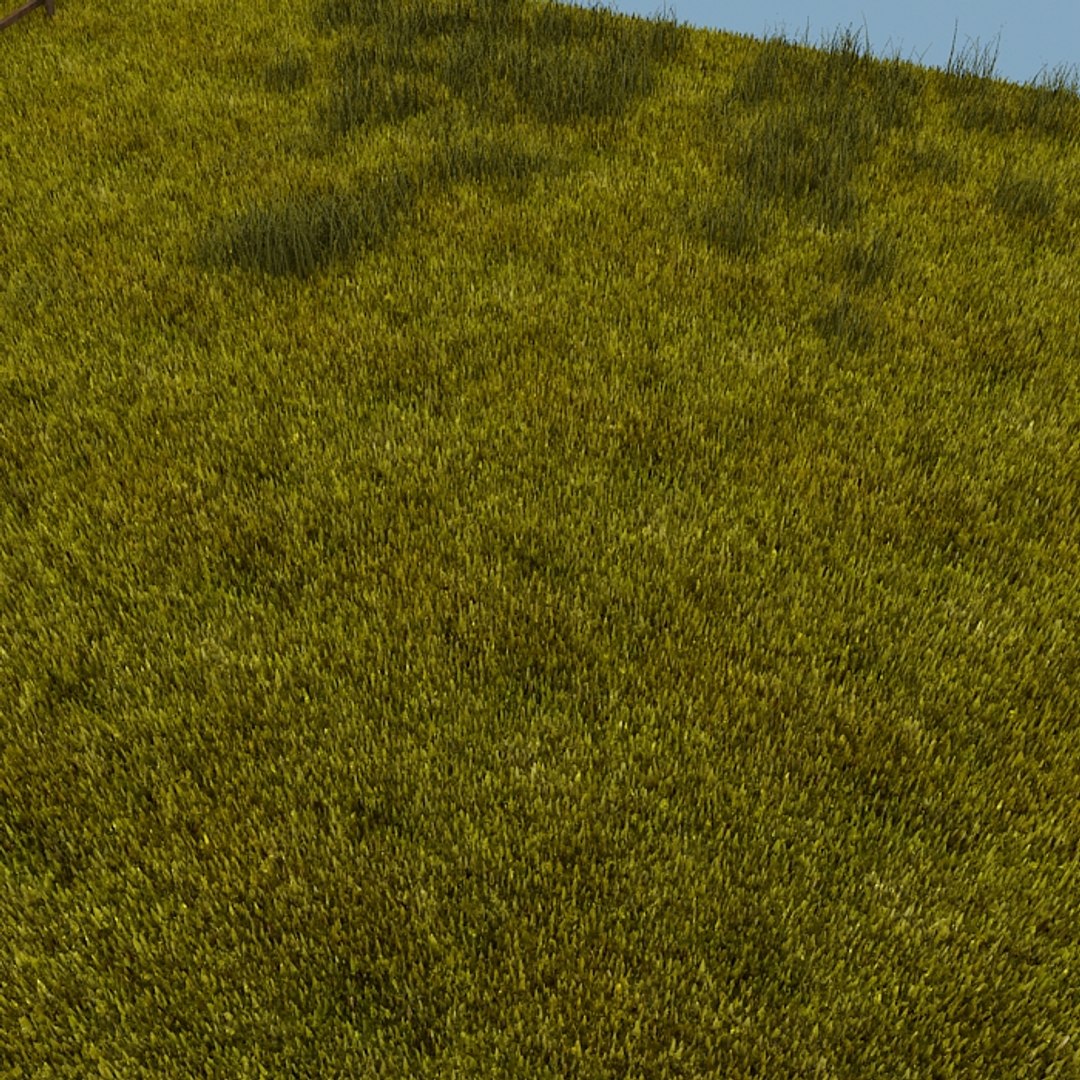 3dsmax grass field https://p.turbosquid.com/ts-thumb/Ea/bR8v9z/aCPsZ8nq/grass05/jpg/1335182792/1920x1080/fit_q87/c42aff8644a61a75124d002376228bc630c6ef57/grass05.jpg