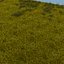 3dsmax grass field
