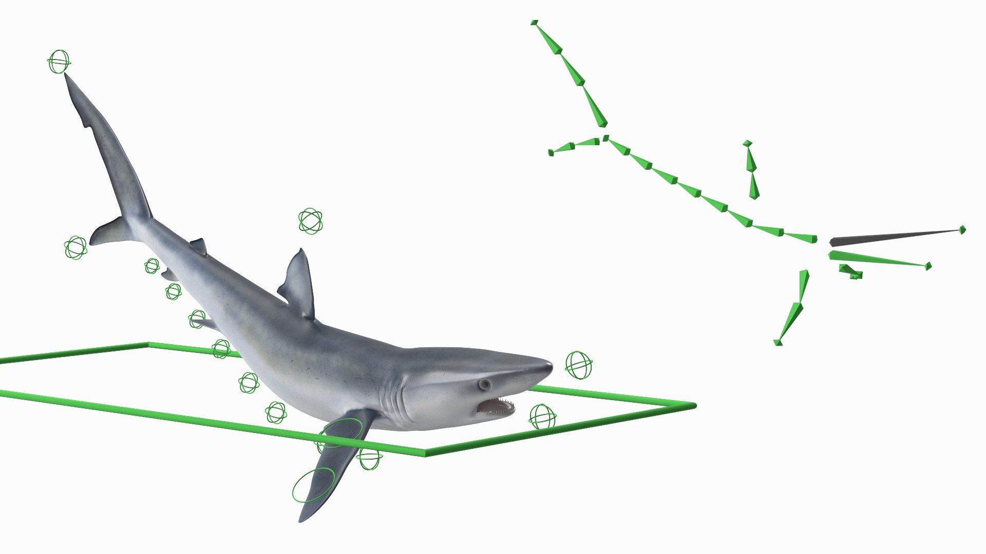 3D model Prionace Glauca Shark Rigged https://p.turbosquid.com/ts-thumb/Ea/qXJWGj/Dy/prionaceglaucasharkrigged3dmodel002/jpg/1722269785/1920x1080/fit_q87/05084815774d52b6935fac149fb6b151358367cd/prionaceglaucasharkrigged3dmodel002.jpg