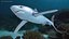 Prionace Glauca Shark Rigged