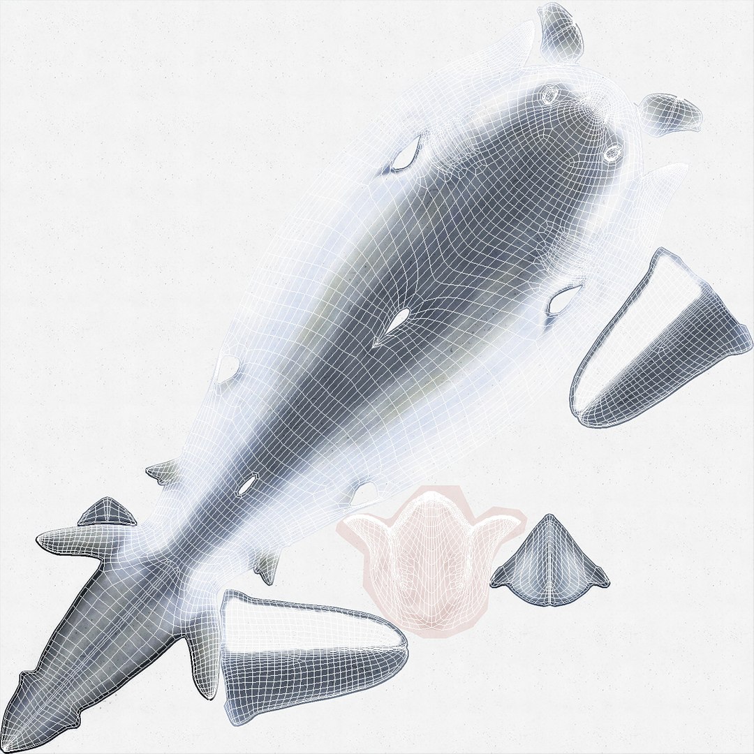3D model Prionace Glauca Shark Rigged https://p.turbosquid.com/ts-thumb/Ea/qXJWGj/J8/prionaceglaucasharkrigged3dmodel021/jpg/1722269905/1920x1080/fit_q87/046a452f649fb52b28eca104f459d3ee00c2ffa6/prionaceglaucasharkrigged3dmodel021.jpg