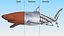 Prionace Glauca Shark Rigged