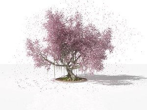 realistic sakura tree model